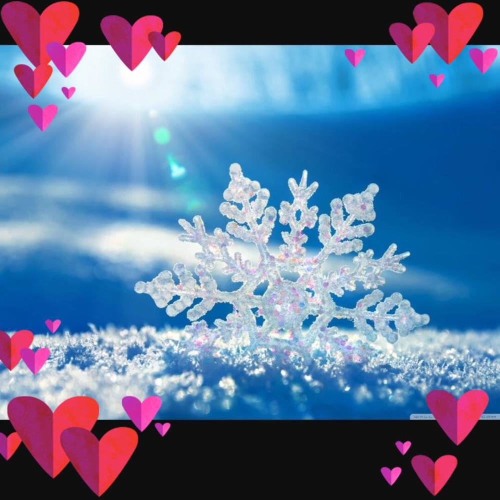 Meet your Posher, Leslie